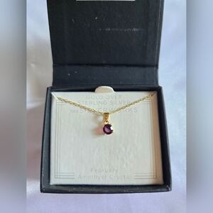 February Amethyst Crystal Necklace NWT